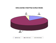 Inmate statistical profile: juveniles in adult prison system, Aug. 2000