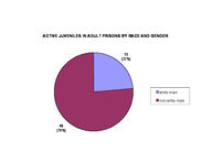 Inmate statistical profile: juveniles in adult prison system, Oct. 2001