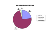 Inmate statistical profile: juveniles in adult prison system, Nov. 2002