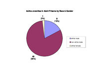 Inmate statistical profile: juveniles in adult prison system, 2002-05-01
