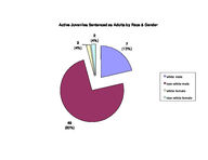 Inmate statistical profile: juveniles in adult prison system, Dec. 2003