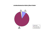 Inmate statistical profile: juveniles in adult prison system, Oct. 2004