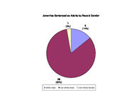 Inmate statistical profile: juveniles in adult prison system, Jan. 2005