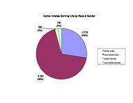 Inmate statistical profile: active lifers, Aug. 2003