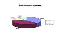 Probationer statistical profile: active street probationers, 2000-06-01