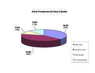 Probationer statistical profile: active street probationers, Feb. 2001