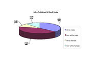 Probationer statistical profile: active street probationers, 2002-06-01