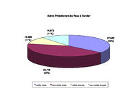 Probationer statistical profile: active street probationers, Dec. 2003