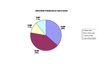 Probationer statistical profile: active street probationers, Apr. 2005