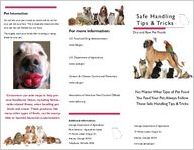 Safe handling tips & tricks : dry and raw pet foods