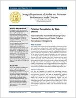 Pollution remediation by state entities : improvements needed in oversight and financial reporting of state pollution remediation obligations