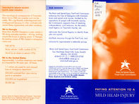 Paying attention to a mild head injury [2007]