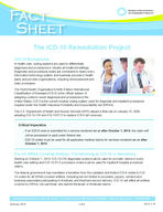 Fact sheet: the ICD-10 remediation project [Feb. 2014]
