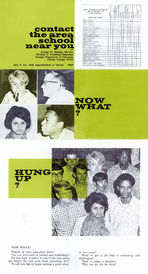Now what? [Division of Vocational Education pamphlet] [1969]