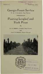 Planting longleaf and slash pines