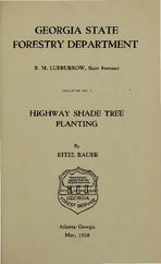 Highway shade tree planting