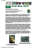 Annosum root and butt rot [2005]