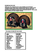Forests and wildlife [2006]