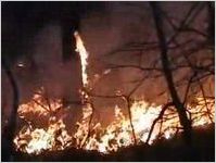 Rx fire at Sprewell Bluff Natural Area [2008]