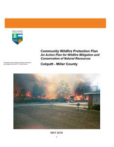 Community wildfire protection plan, Colquitt - Miller County, Georgia: an action plan for wildfire mitigation and conservation of natural resources