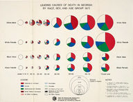 Leading causes of death in Georgia by race, sex, and age group: 1973 [1973]