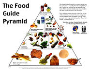 The food guide pyramid