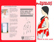Germs and pregnancy: how to stay safe [May 17, 2005]