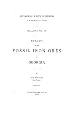 Report on the fossil iron ores of Georgia