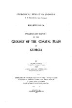 Preliminary report on the geology of the coastal plain of Georgia