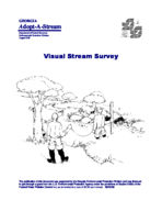 Visual stream survey