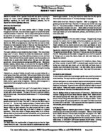 Rabbit fact sheet [May 2005]