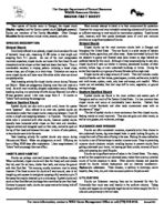 Skunk fact sheet