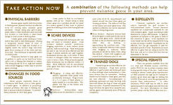 Nuisance Canada goose control [Feb. 2008]