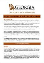 Guide to alligator hunting in Georgia