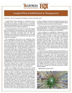 Longleaf pine establishment and management