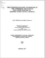 The lithostratigraphic framework of the uppermost Cretaceous and Lower Tertiary of eastern Burke County, Georgia