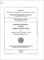 Subsurface geology of the Georgia Coastal Plain