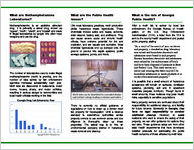 Methamphetamine "meth" laboratories : Chemical Hazards Program : Environmental Health Section