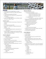 Georgia Department of Corrections, prisons versus jails