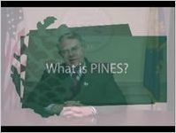 Georgia library PINES: Public Information Network for Electronic Services [2002]