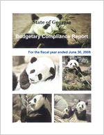 State of Georgia budgetary compliance report for the fiscal year ended June 30, 2008