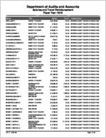 Berrien County Board of Education, Nashville, Georgia, report on salary and travel for the fiscal year ended June 30, 2010