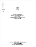 Supplementary information, Brantley County Board of Education, Nahunta, Georgia, summary and schedule of salaries and travel, year ended June 30, 1996