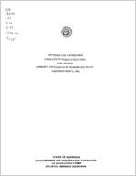 Supplementary information, Cook County Board of Education, Adel, Georgia, summary and schedule of salaries and travel, year ended June 30, 1996