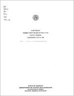 Audit report, Gilmer County Board of Education, Ellijay, Georgia, year ended June 30, 1996