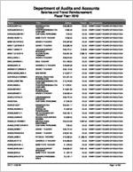 Henry County Board of Education, McDonough, Georgia, report on salary and travel for the fiscal year ended June 30, 2010