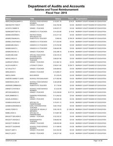 Salaries and travel reimbursement, 2015 June 30 (Murray County Board of Education, Ga.)