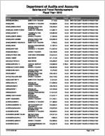 Newton County Board of Education, Covington, Georgia, report on salary and travel for the fiscal year ended June 30, 2013