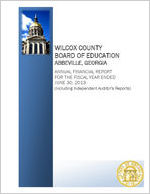 Wilcox County Board of Education, Abbeville, Georgia, annual financial report for the fiscal year ended June 30, 2013 (including independent auditor's reports)