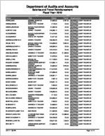 Wilkinson County Board of Education, Irwinton, Georgia, report on salary and travel for the fiscal year ended June 30, 2010